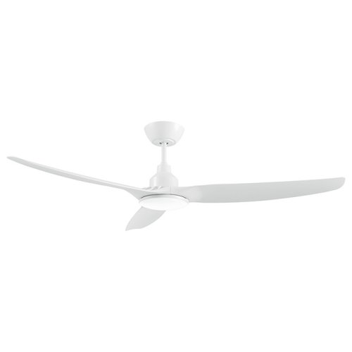 LIFE APELIOTES DAY 2